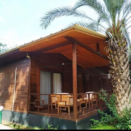 Olympos Yavuz Hotel Çıralı Exteriér fotografie