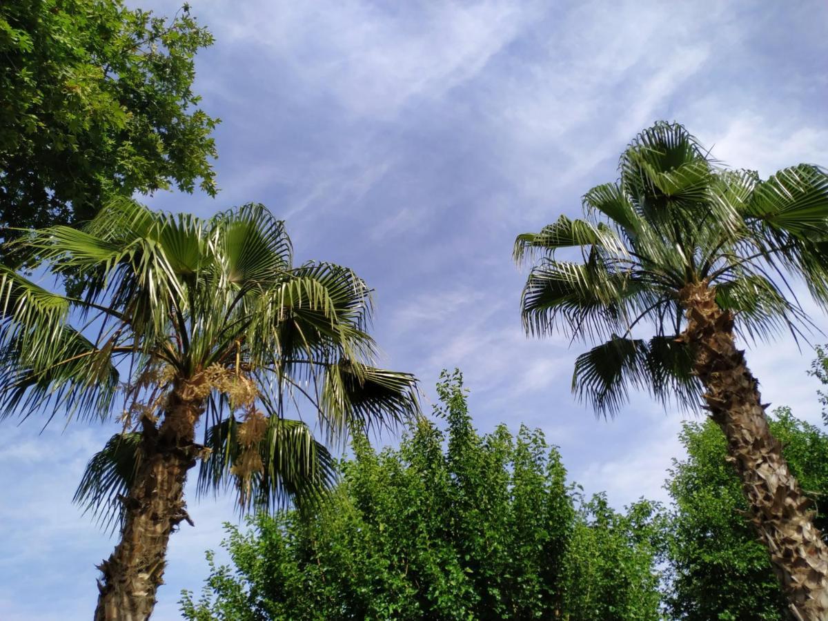 Olympos Yavuz Hotel Çıralı Exteriér fotografie