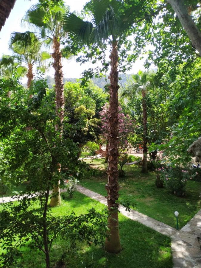 Olympos Yavuz Hotel Çıralı Exteriér fotografie