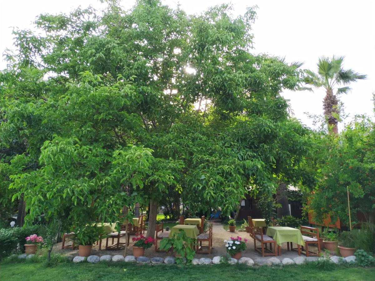 Olympos Yavuz Hotel Çıralı Exteriér fotografie