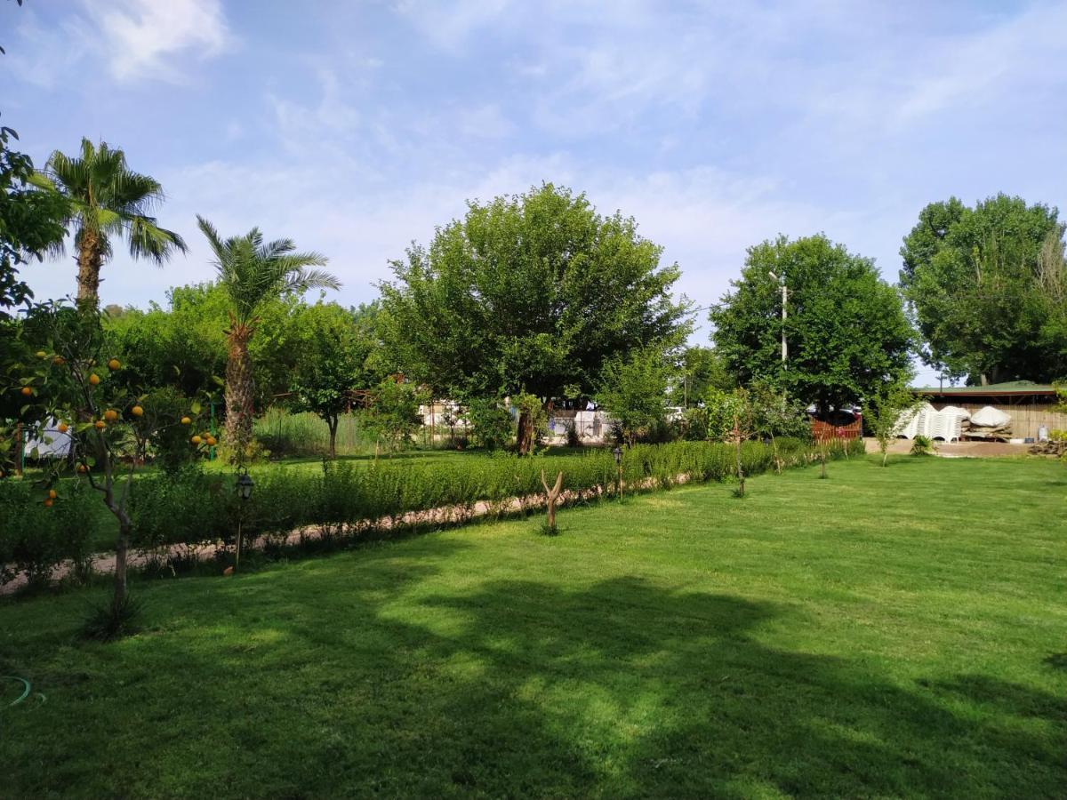 Olympos Yavuz Hotel Çıralı Exteriér fotografie