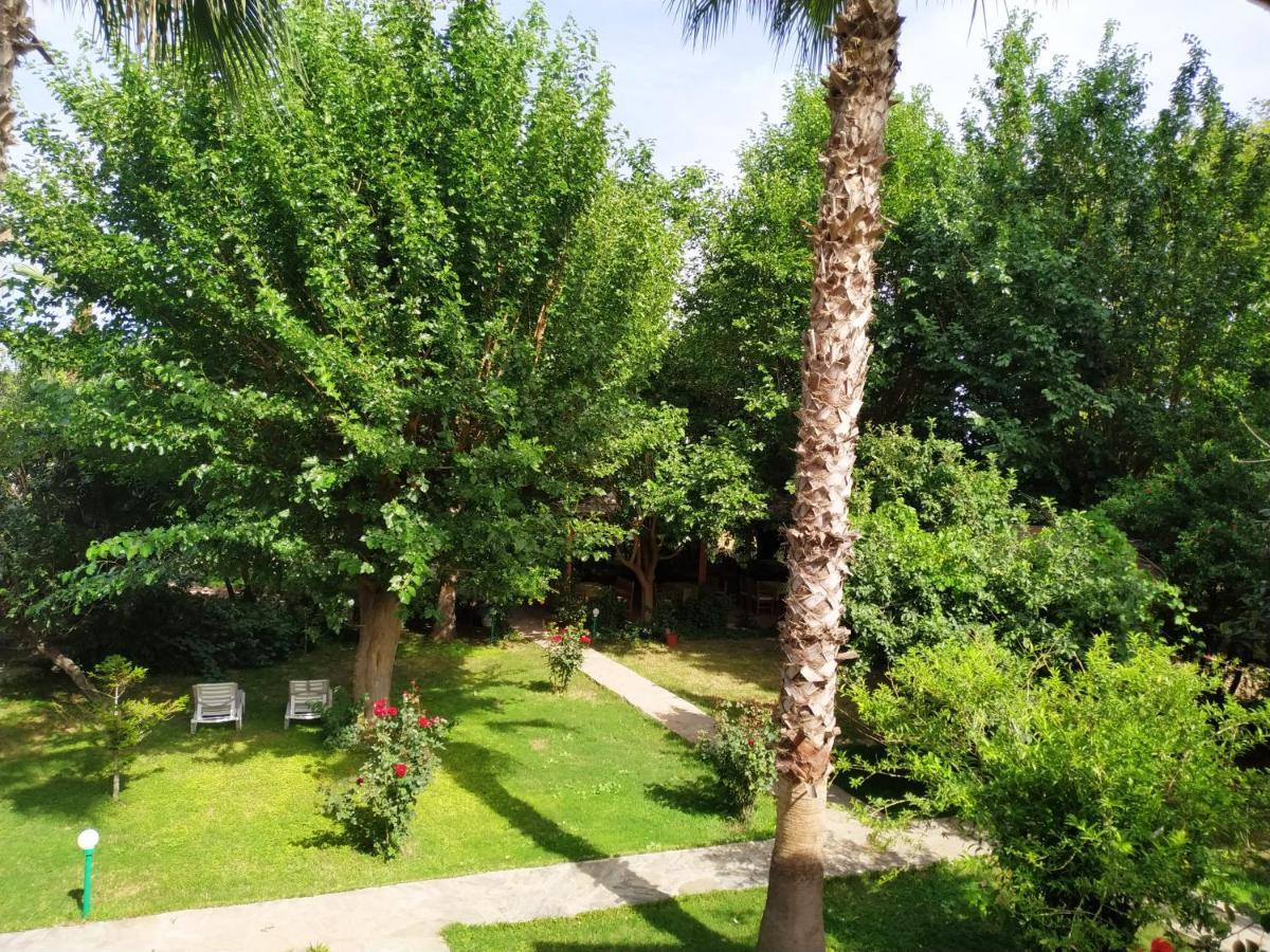 Olympos Yavuz Hotel Çıralı Exteriér fotografie