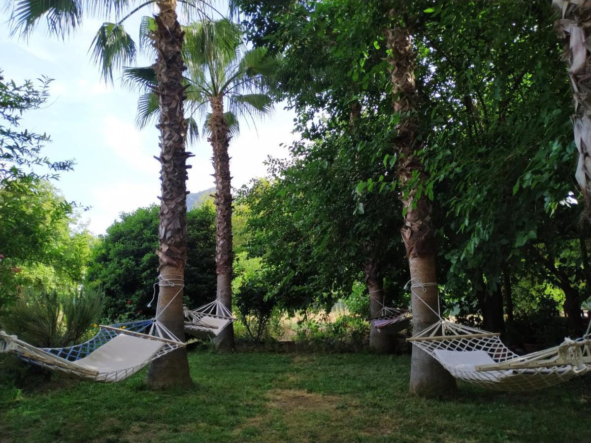 Olympos Yavuz Hotel Çıralı Exteriér fotografie