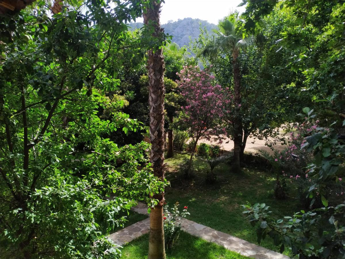 Olympos Yavuz Hotel Çıralı Exteriér fotografie
