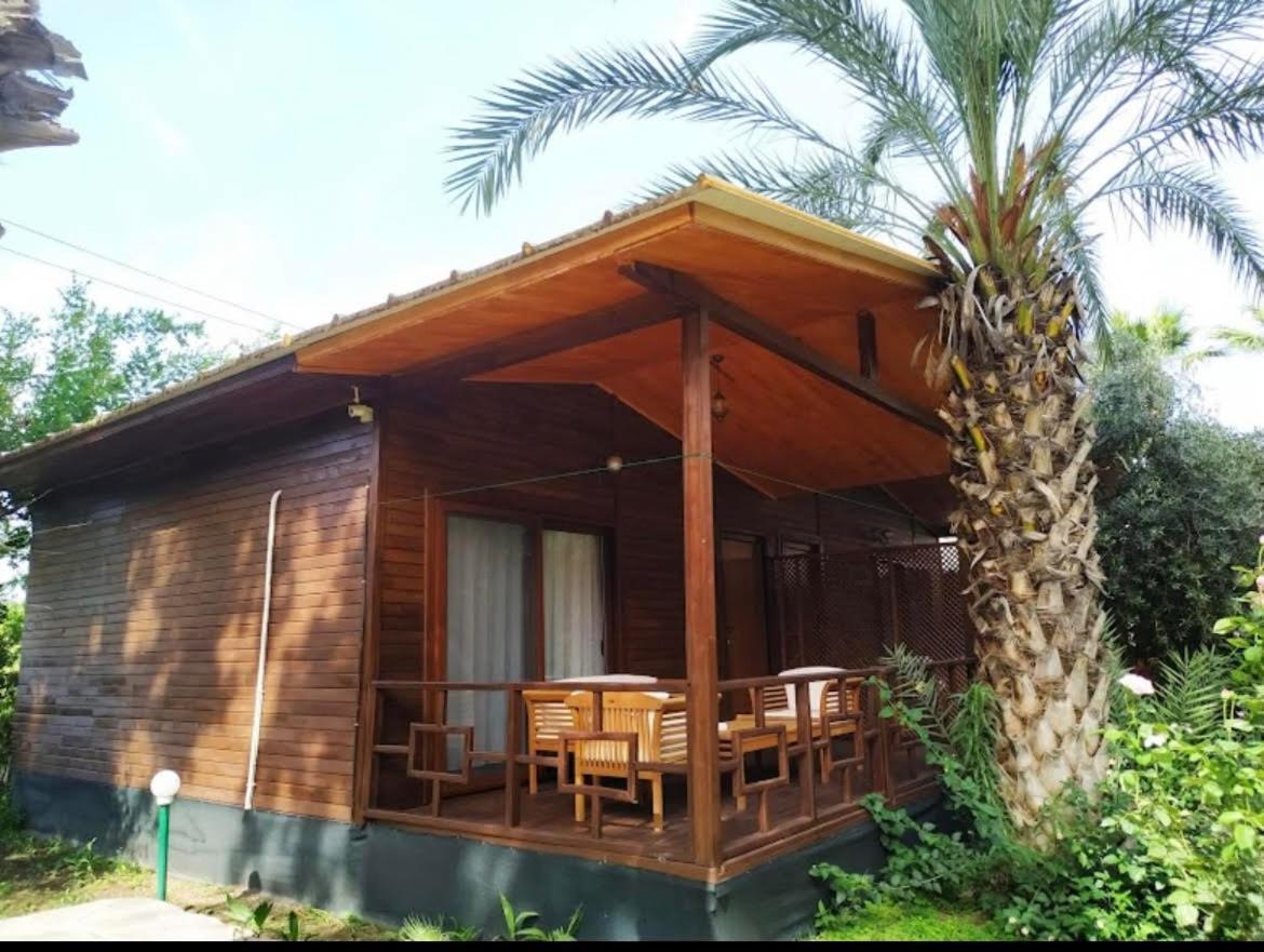 Olympos Yavuz Hotel Çıralı Exteriér fotografie