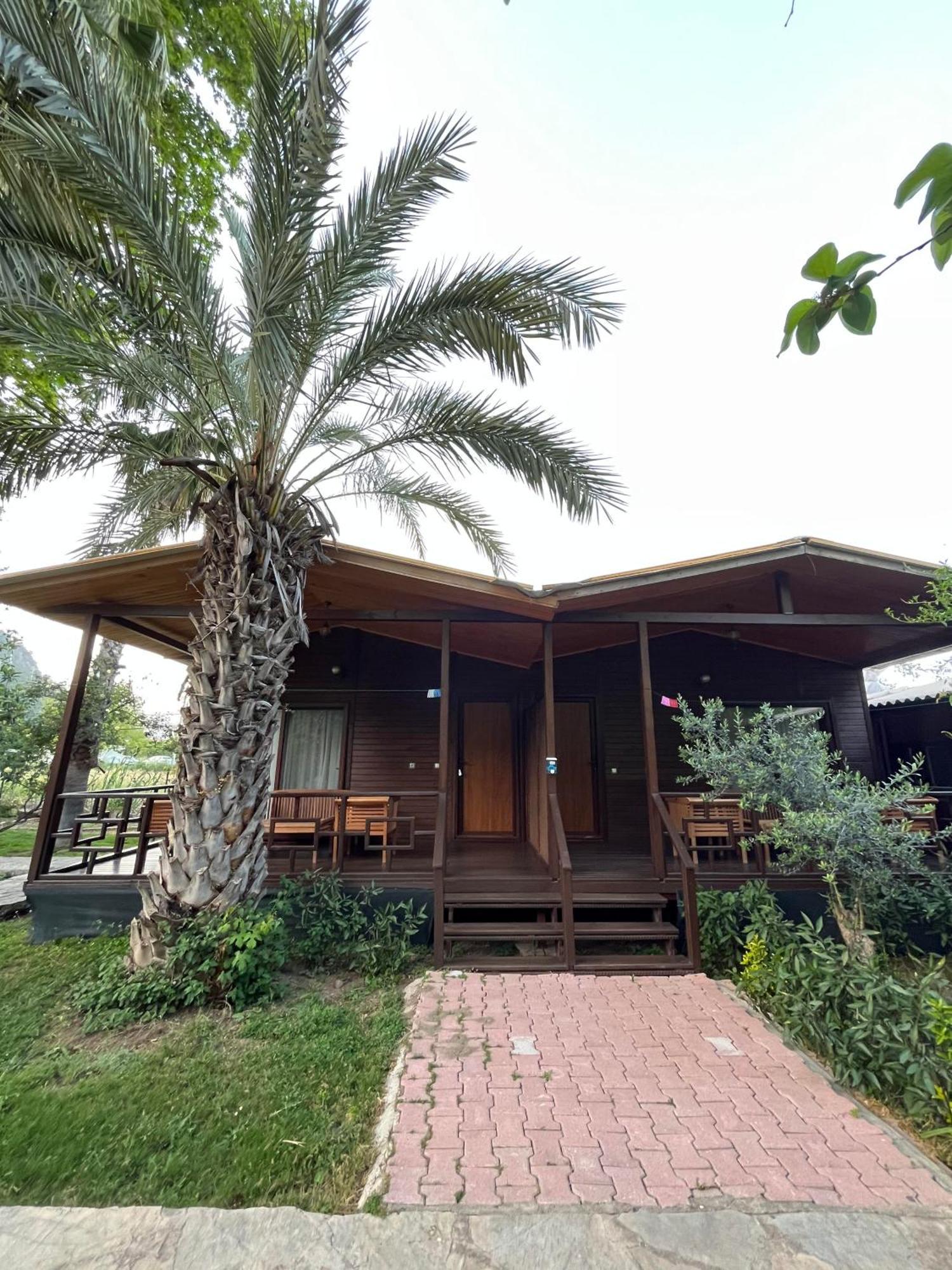 Olympos Yavuz Hotel Çıralı Exteriér fotografie